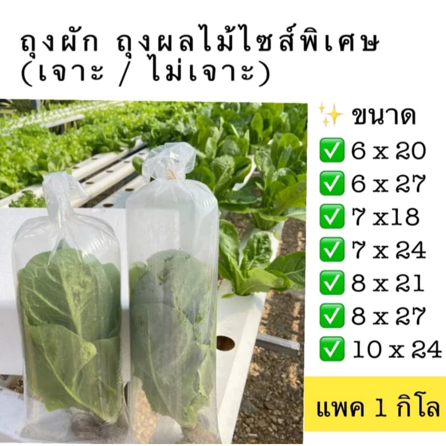 ถุงใส่ผัก ผลไม้ เนื้อสัตว์ ยาวพิเศษ แพค 1 กิโล LLDPE ถุงเจาะรู ถุงไม่เจาะรู ถุงแช่เย็น ถุงแช่แข็ง ยี่ห้อม้าน้ำคู่ รูปที่ 1