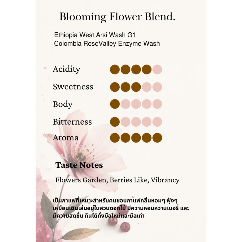 mister bean roasters เมล็ดกาแฟคั่วอ่อนโทนดอกไม้ เบอรี่ ดอกไม้ชัด ไม่เลี่ยน ลื่นคอ Blooming Flower Blend Light Roast รูปที่ 3