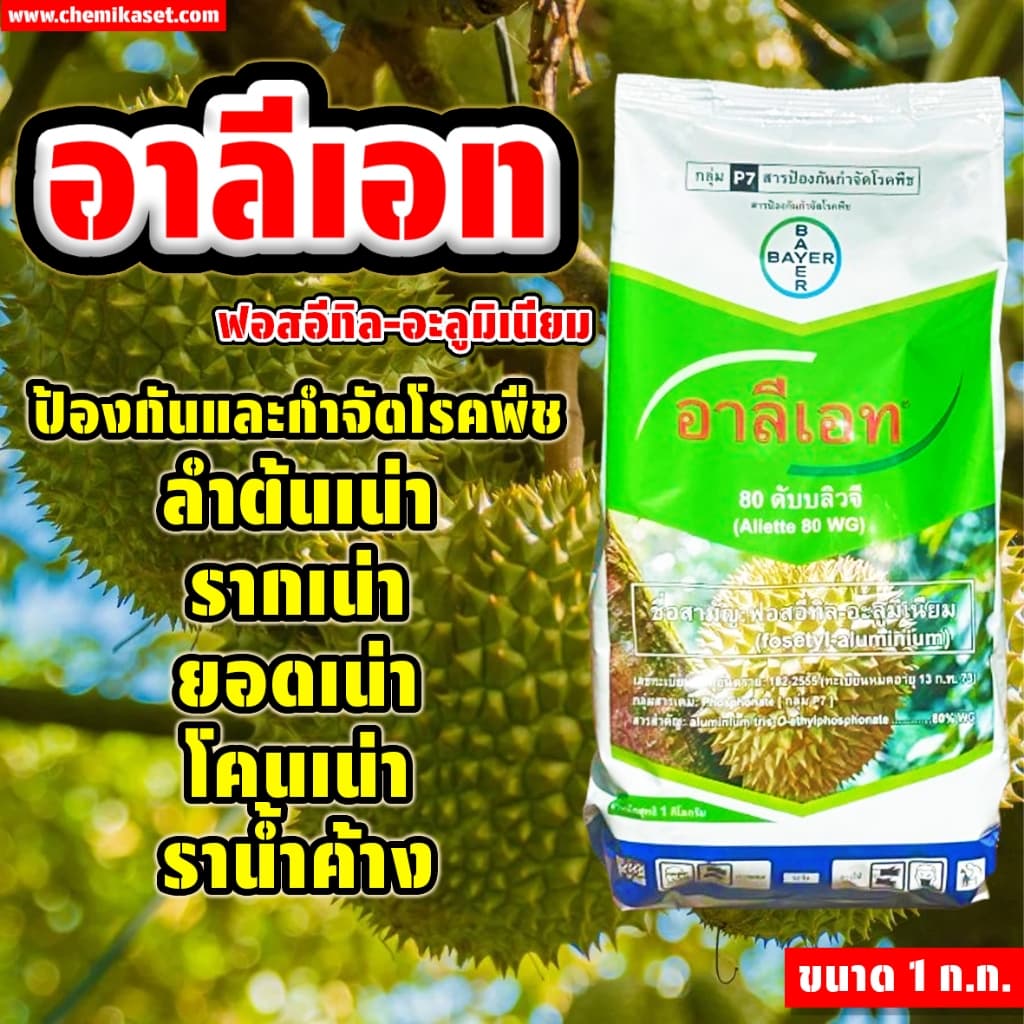 อาลีเอท ขนาด 1 ก.ก. ป้องกันเชื้อรา โรครากเน่า โรคเน่า โรคไฟท๊อป รูปที่ 1