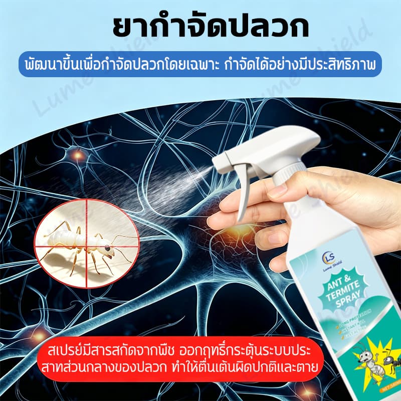 สเปรย์กำจัดปลวก 580ML ฆ่าปลวก ป้องกันปลวก ป้องกันยาวนาน ปกป้องบ้านให้ปลอดภัย LumeShield รูปที่ 5