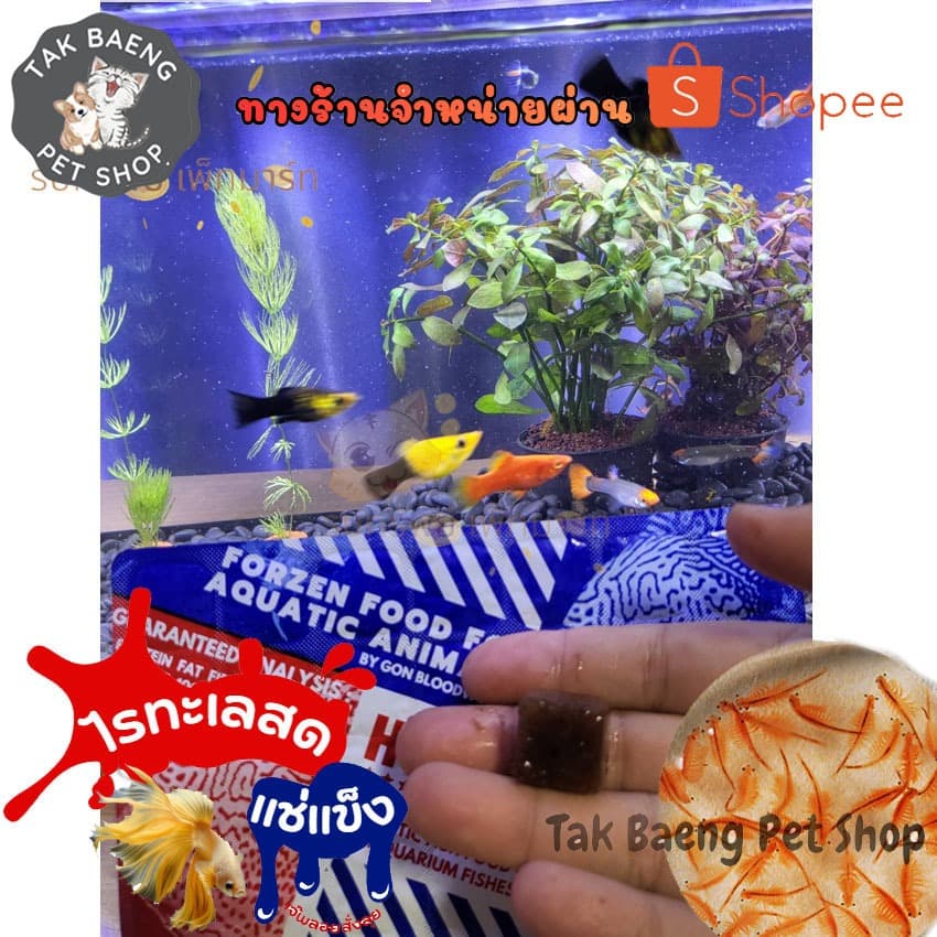 ส่งรวดเร็ว ไรทะเลแช่แข็ง ยี่ห้อ โฮชิ ตัวเลือก 1-3 แพ็ค ฟรี ถุงเก็บความเย็น อาหารปลาสัตว์น้ำ จำหน่ายผ่าน shopee รูปที่ 2