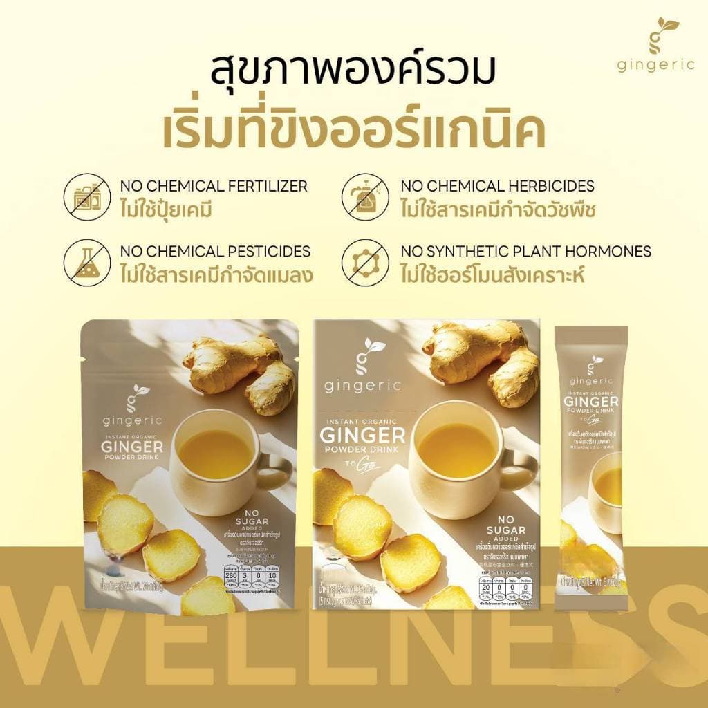 ผงขิงสกัดออร์แก​นิค​ 100% แบบพกพาไม่มีกากตะกอน ละลายทันที ไม่มีน้ำตาล มีฮาลาล ORGANIC INSTANT GINGER POWDER TOGO รูปที่ 2