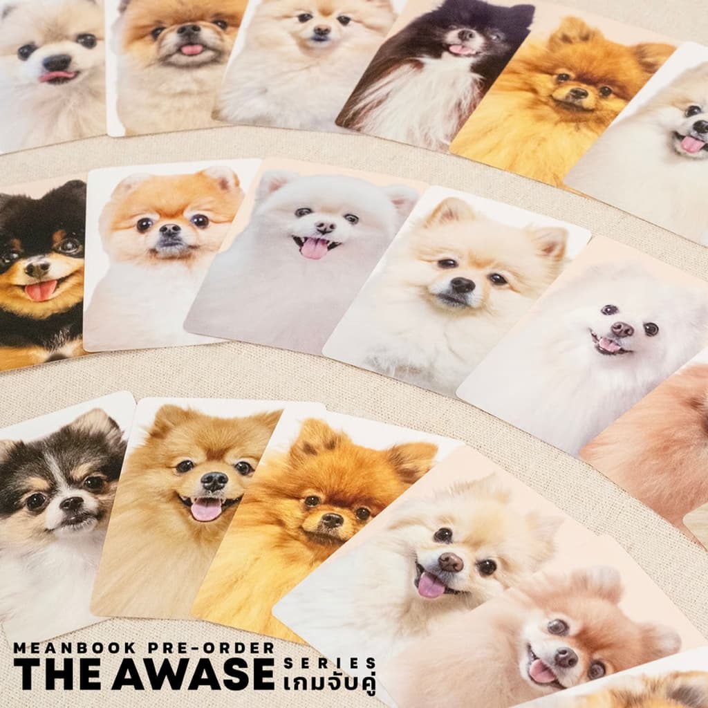 เกมจับคู่แมวดำ / เกมจับคู่ปอม / เกมจับคู่พุดเดิ้ล The Awase Series Board Game รูปที่ 3