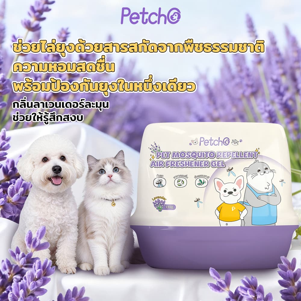 Petcho เจลหอมปรับอากาศไล่ยุง 2-in-1 หอมสดชื่น ช่วยไล่ยุง สารสกัดจากพืชธรรมชาติ รูปที่ 5