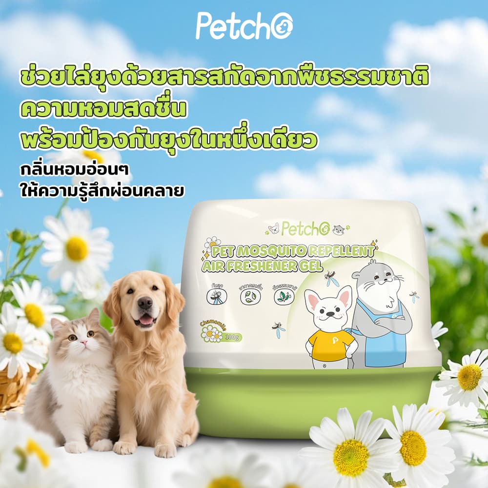Petcho เจลหอมปรับอากาศไล่ยุง 2-in-1 หอมสดชื่น ช่วยไล่ยุง สารสกัดจากพืชธรรมชาติ รูปที่ 4