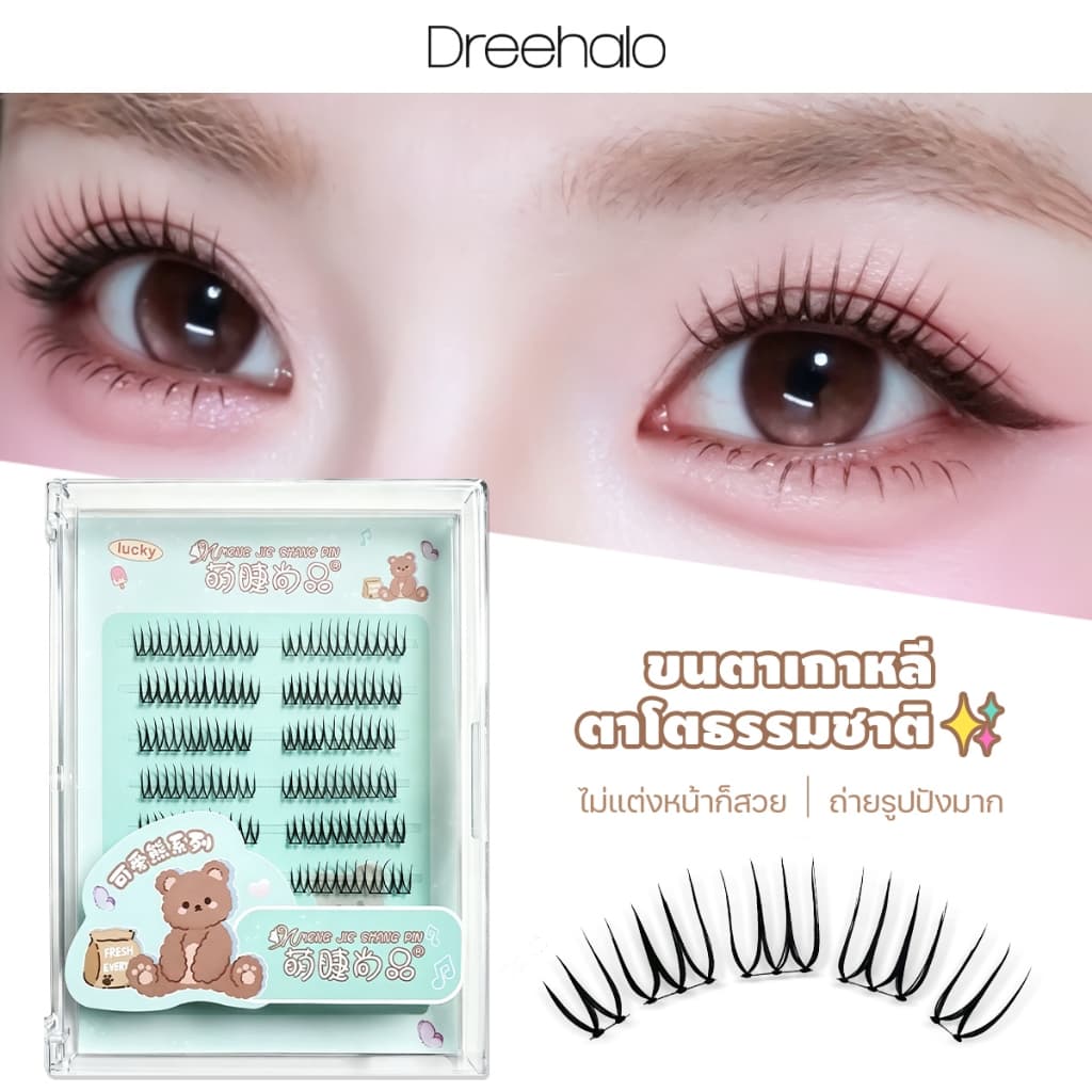 Dreehalo ซีรีส์ไอดอลลุคทุกวันขนตาสไตล์ไอดอล ลุคเด่นแบบไอดอล ตาคม มีพลัง F292 รูปที่ 1