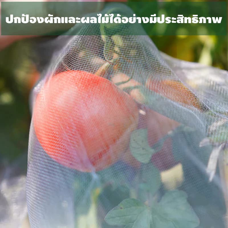 มุ้งขาวกันแมลง มุ้งขาว มุ้งขาวโรงเรือน 32ตา/40ตา/60ตา มุ้งกันแมลงผัก ตาข่ายกันแมลง มุ้งโรงเรือน กันแมลง มุ้งปลูกผัก รูปที่ 2