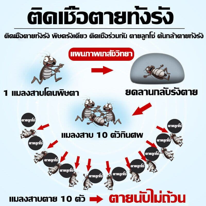 ไม่มีแมลงสาบในบ้านใน 1 ปี นำเข้าจากประเทศญี่ปุ่น สเปรย์กำจัดแมลงสาบ300ml แมลงสาบจะตายหากสัมผัส ไม่มีสี ไม่มีกลิ่น ไม่เหน รูปที่ 5