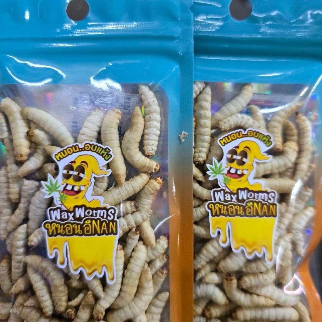 หนอนแว๊กฟรีซดราย หนอนน้ำผึ้ง หนอนแว๊กซ์ สำหรับชูก้า กระกรอก 10g. รูปที่ 5