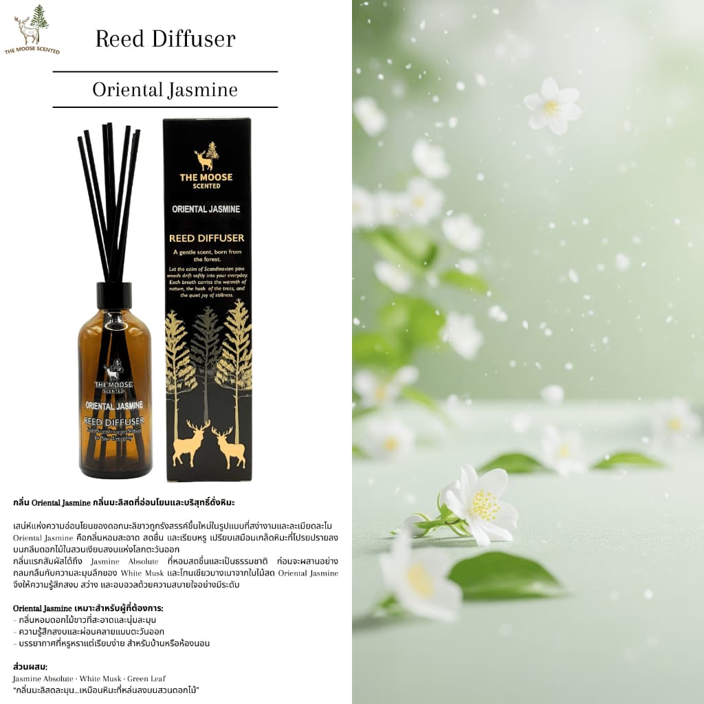 ก้านไม้หอม Reed Diffuser กลิ่นมะลิ Oriental Jasmine 100ml The Moose Scented น้ำหอมปรับอากาศบ้าน ก้านน้ำหอมกระจายกลิ่น รูปที่ 4