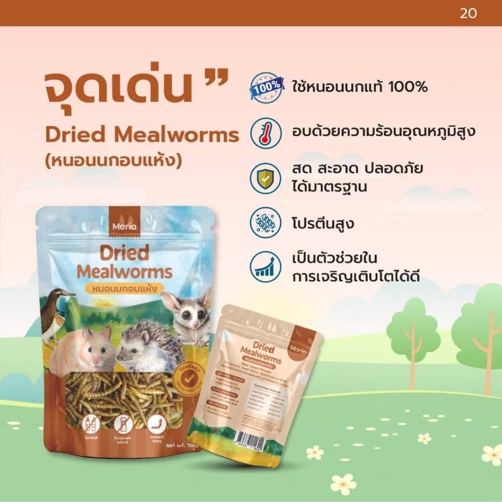 Morio Hamster food หนอนอบแห้ง อาหารหนูเเฮมสเตอร์ เม่นเเคระ สัตว์ฟันเเทะ รูปที่ 5