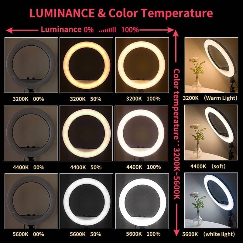 ไฟวงแหวน 16-45CM LED Ring Light ชุดไฟไลฟ์สด+พร้อมขาตั้ง2.1m ปรับได้3สี ปรับได้360°ทิศทา ไฟสตูดิโอ ขาตั้งกล้องมือถือ รูปที่ 3