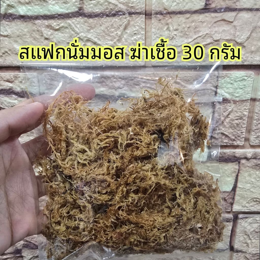 เซ็ตเลี้ยงหอยทาก และอุปกรณ์สำหรับเลี้ยงหอยทาก รูปที่ 5
