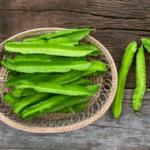 เมล็ดพันธุ์ ถั่วพูสีเขียว Green Winged Bean Seed 20 เมล็ด คุณภาพดี รูปที่ 4
