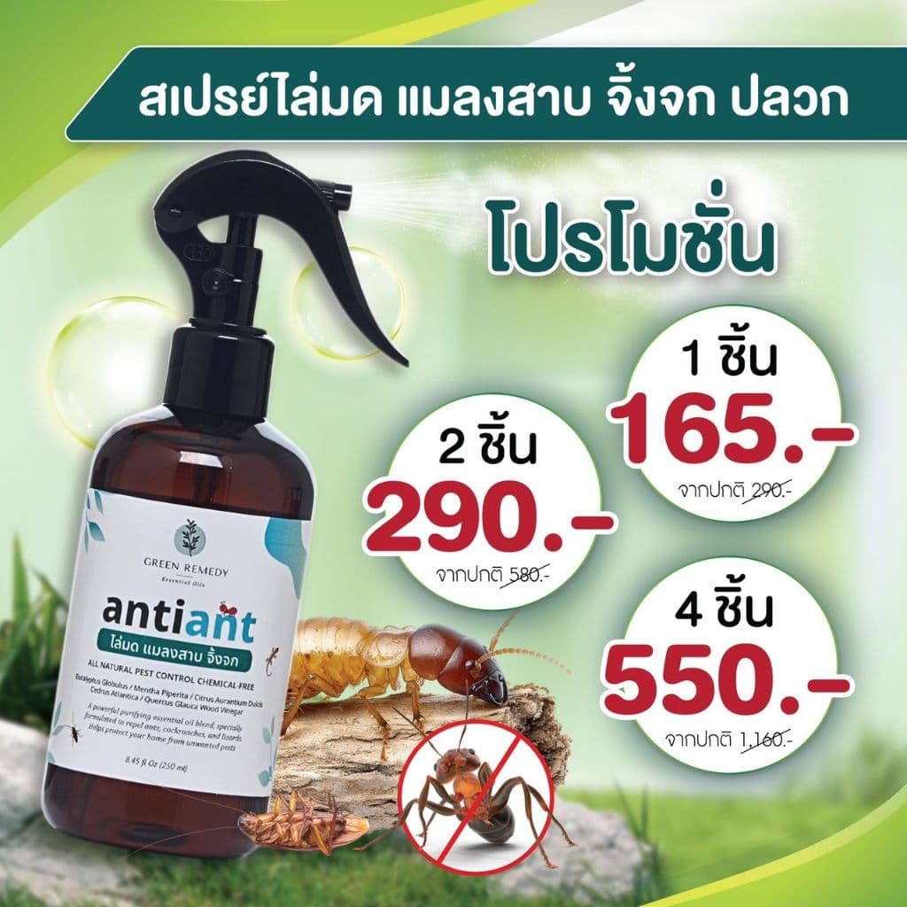 Anti-ANT สเปรย์ไล่มด ไล่แมลงสาบ ไล่จิ้งจก กำจัดปลวก มด จิ้งจก แมลง สูตรออร์แกนิค 100% 250 ml รูปที่ 2