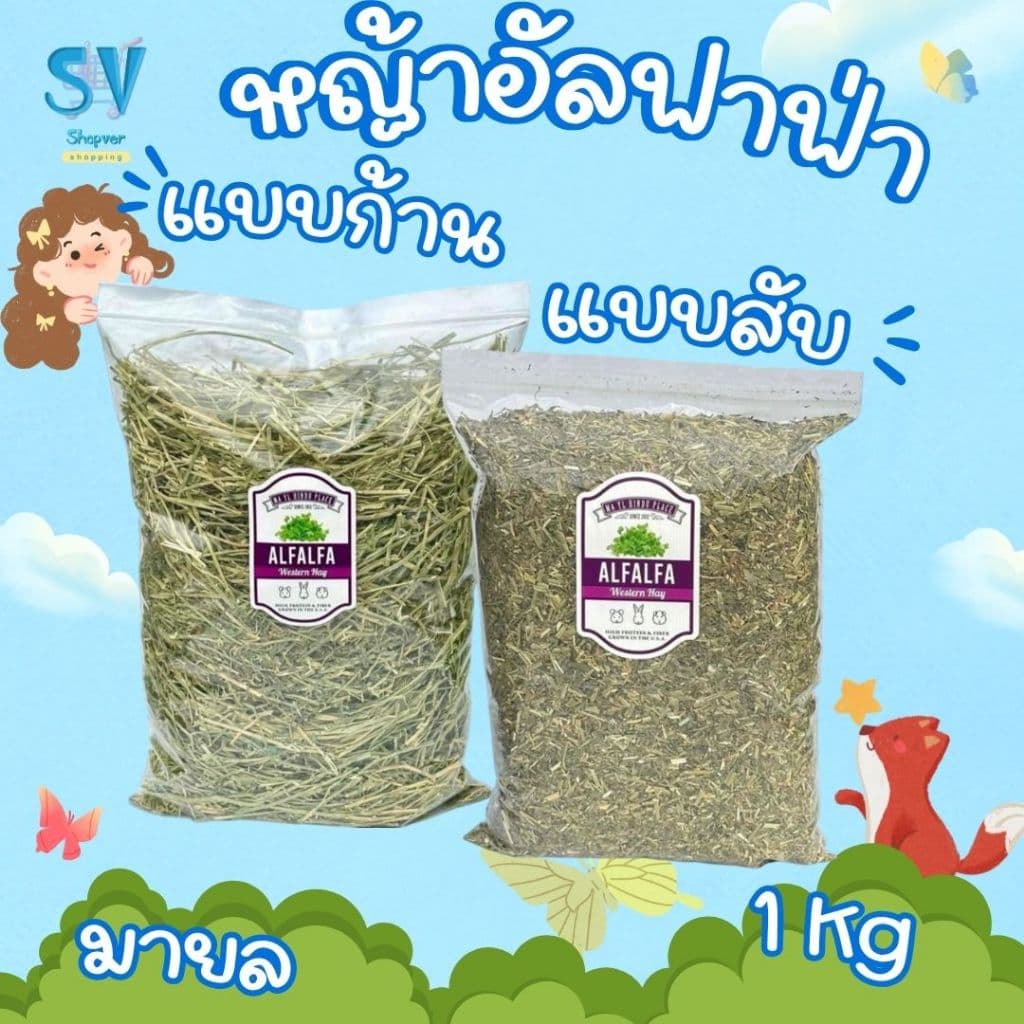 หญ้าอัลฟาฟ่าก้าน และ alfalfa chopped หญ้าอัลฟาฟ่าสับ 1 กก.เขียวหอมมาก มายล รูปที่ 1