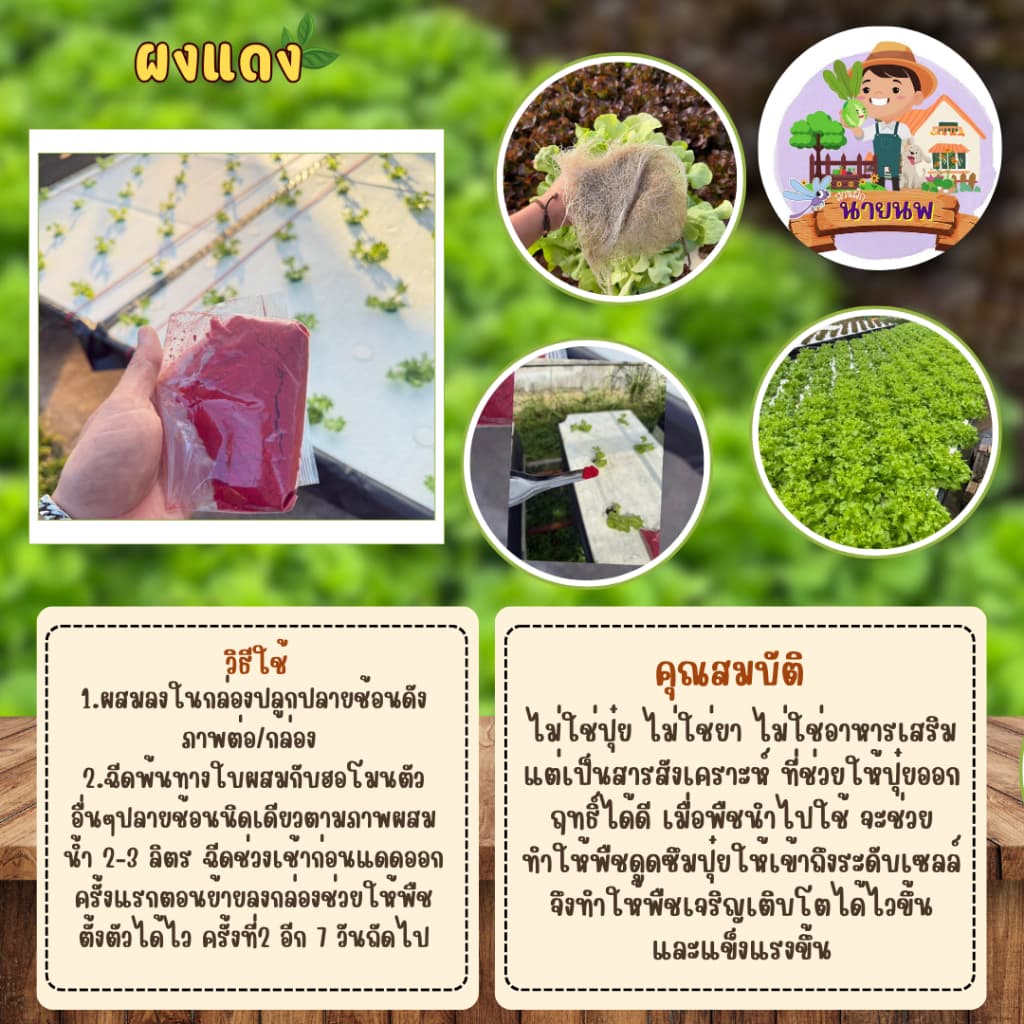 ผงแดง ตัวช่วยให้ปุ๋ยทำงานได้ดียิ่งขึ้น ขนาด 100 กรัม รูปที่ 1