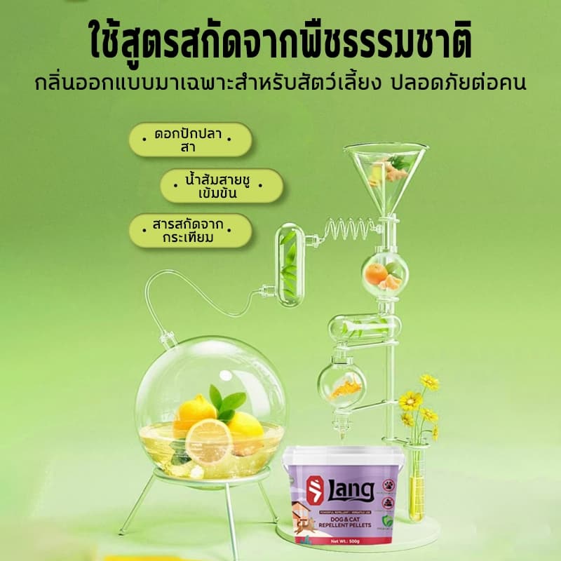 พอได้กลิ่นก็รีบหนีผงไล่หมา ไล่หมา ผงโรยไล่หมาแมว 500กรัม ป้องกันไล่ได้ยาวนาน แบบไม่ทำร้ายสัตว์ ป้องกันการถ่าย รูปที่ 4