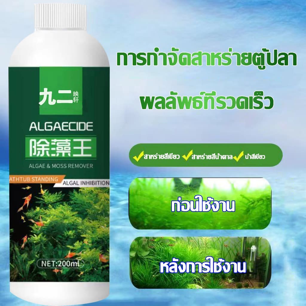 กำจัดสาหร่ายในตู้ปลา กำจัดตะไคร่น้ำในตู้ปลา กำจัดสาหร่าย กำจัดน้ำสีเขียว ทำความสะอาดบ่อปลา รูปที่ 1