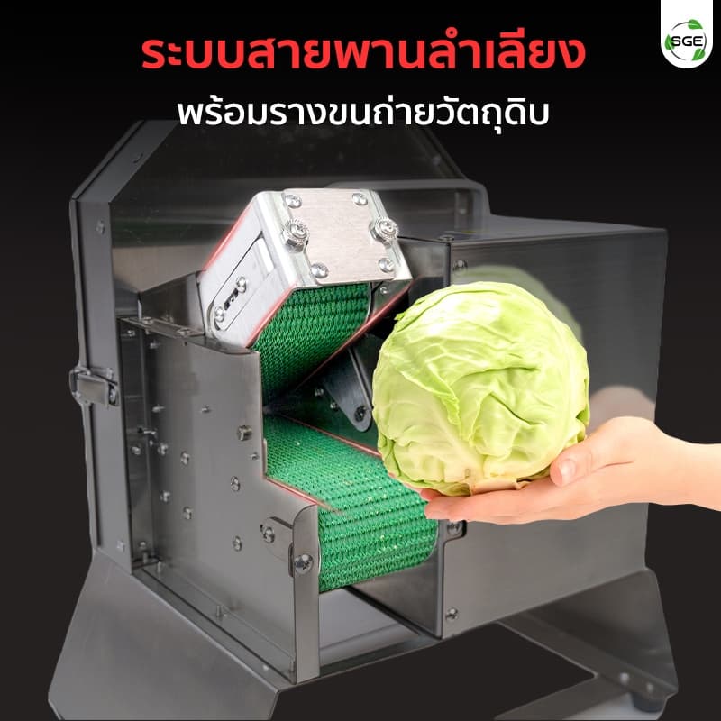 SGE เครื่องหั่นผักสายพาน รุ่น VS-SPIN ปรับขนาดหั่นได้ กำลังผลิตสูง ศูนย์ไทย สินค้า รูปที่ 4