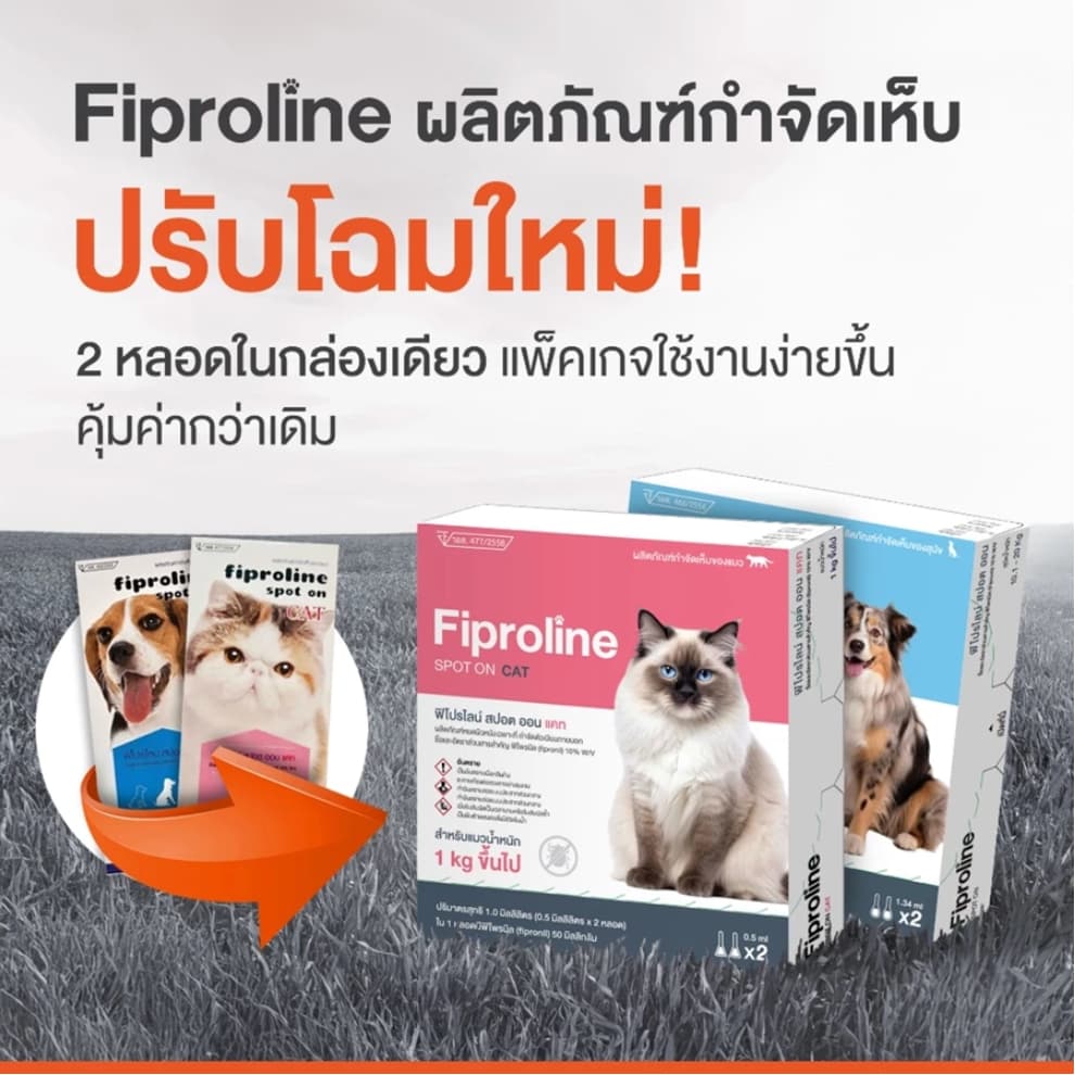 Fiproline แบ่งขาย-ยกกล่อง ผลิตภัณฑ์ป้องกันและกำจัดเห็บหมัด สำหรับสุนัขและแมว ชนิดหยดหลัง รูปที่ 6