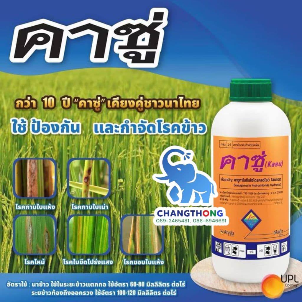 คาซู่ 1 ลิตร คาซูกาไมซิน แบคทีเรีย ไวรัส ใบส้ม ใบขีด ใบจุด ใบโปร่งแสง เชื้อรากาบใบแห้ง รูปที่ 1