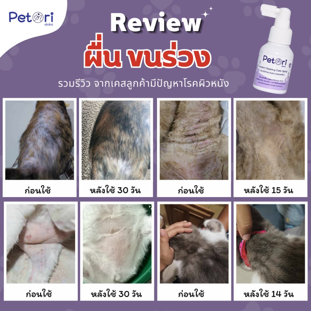 ใช้ดีแผลแห้งเร็ว Petori 50 ml สเปรย์พ่นแผลสด แผลหนอง เชื้อรา ผื่นแดง คันเกา หมาแมวกระต่าย Exotic Pet รูปที่ 6