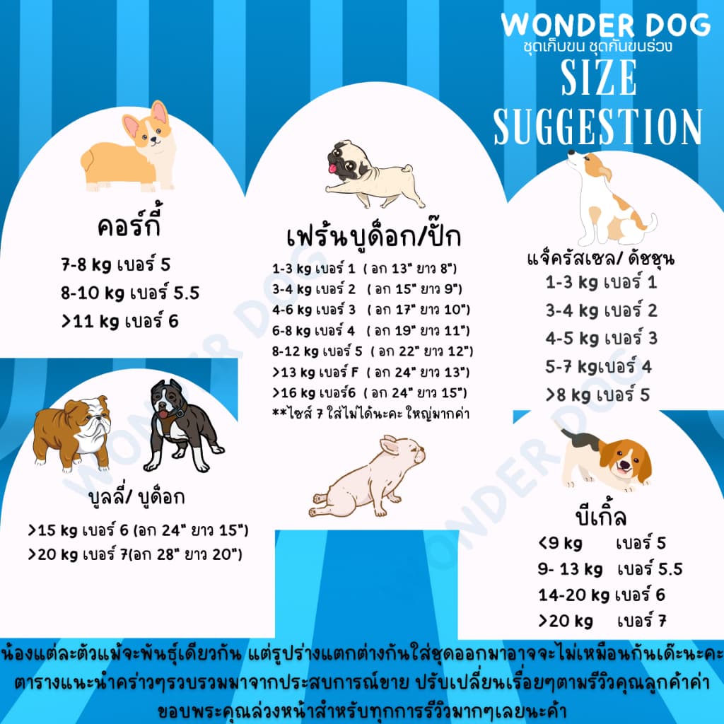 ชุดเก็บขน wonder dog เสื้อสุนัข เสื้อแมว ชุดกันขนร่วงสุนัข ชุดสัตว์เลี้ยง โทนน้ำเงิน รูปที่ 4