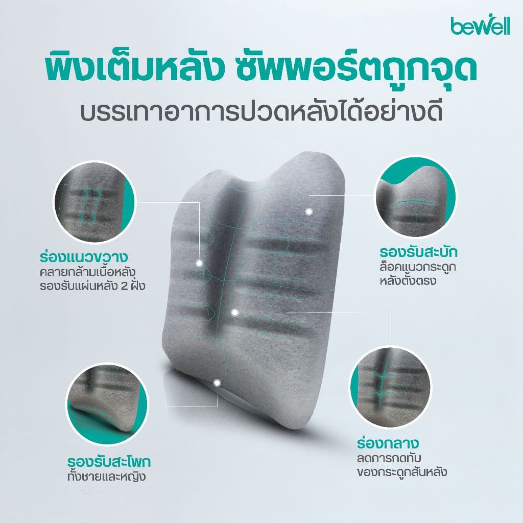 Bewell Ergocushion Series เบาะรองหลัง รองรับหลังได้ดีกว่าเดิม พัฒนาร่วมกับนักกายภาพ รูปที่ 4