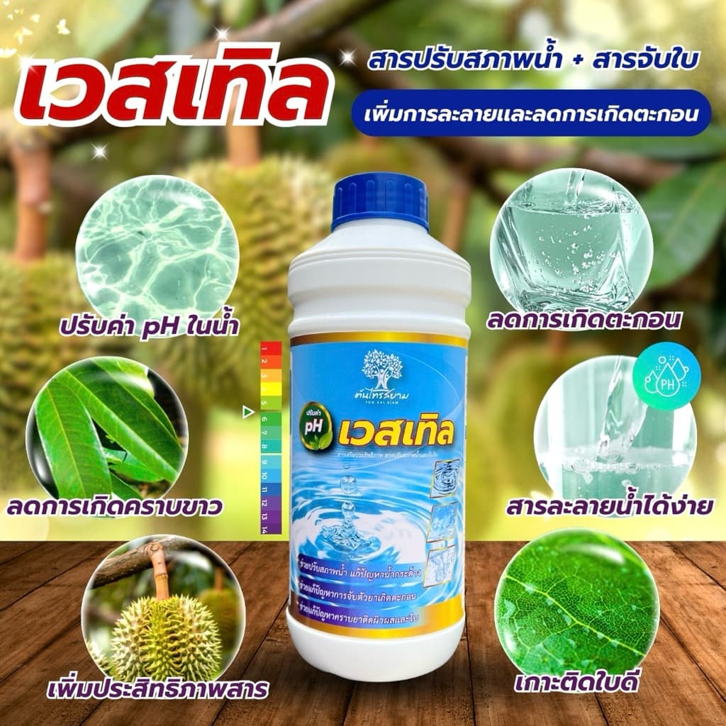 เวสเทิล สารปรับสภาพน้ำ+สารจับใบ ช่วยปรับสภาพน้ำลดการเกิดตะกอน ช่วยเพิ่มประสิทธิภาพสารเกาะติดใบพืชได้ดี ปรับค่า pH ในน้ำ รูปที่ 1