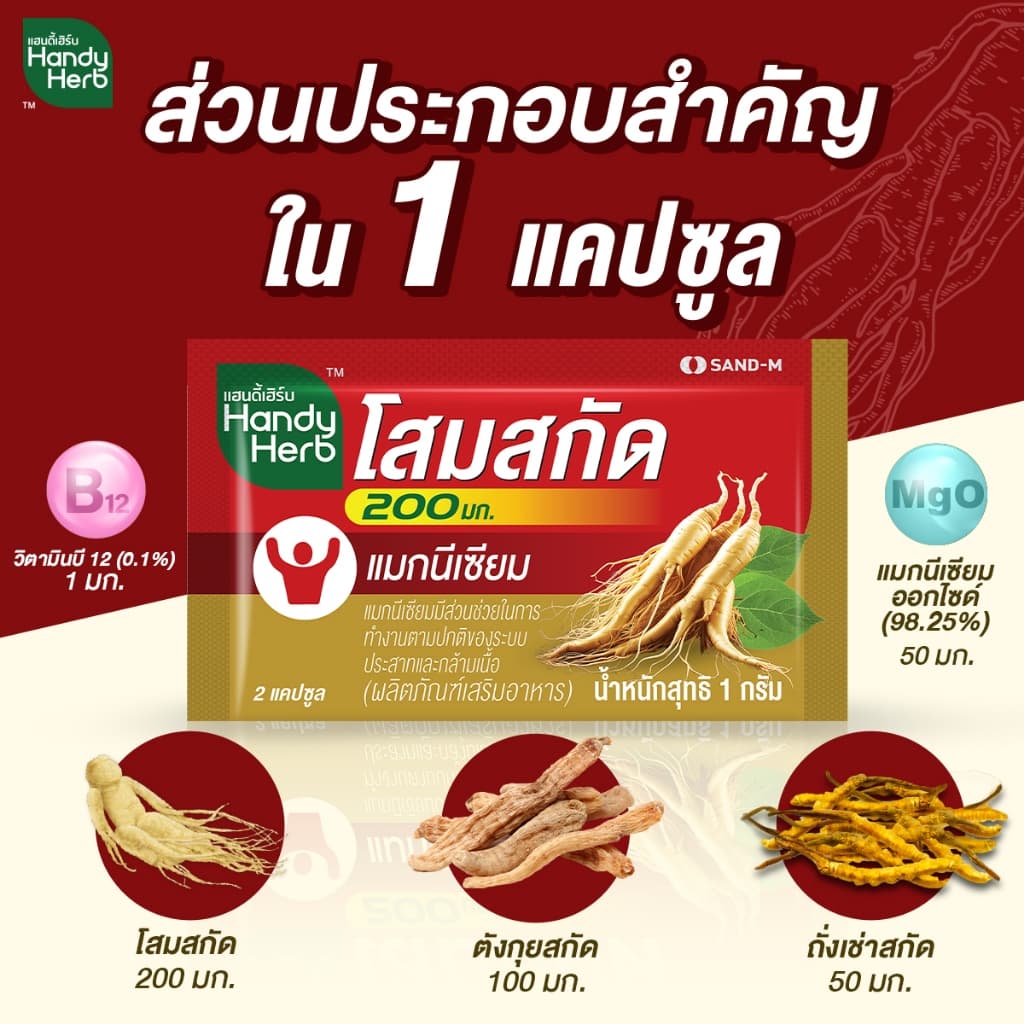 สูตรใหม่! HandyHerb โสมสกัด 200 มก. สมุนไพรแคปซูล ชนิดกล่อง 1 กล่อง รูปที่ 3