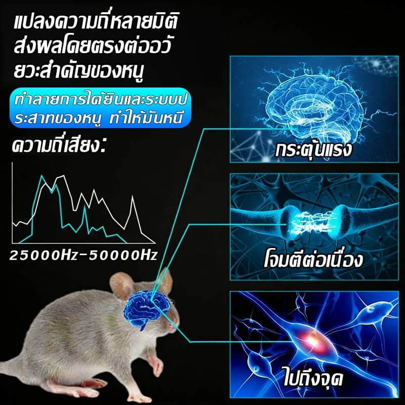 เครื่องไล่หนี 1คืนไล่หนู1000ตัวเครื่องไล่หนู อัลตราโซนิก อัพเกรดใหม่ทำร้ายประสาทหนูโดยตรงไม่ได้ผลคืนเงิน ปลอดภัยต่อเด็กๆ รูปที่ 3