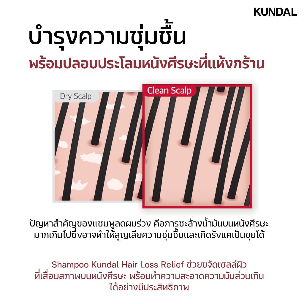 KUNDAL HAIR LOSS RELIEF SHAMPOO CHERRY BLOSSOM คุนดัล แฮร์ ลอส รีลีฟ แชมพู เชอร์รี บลอสซัม สูตรลดผมร่วง บำรุงรากผม 500มล รูปที่ 7