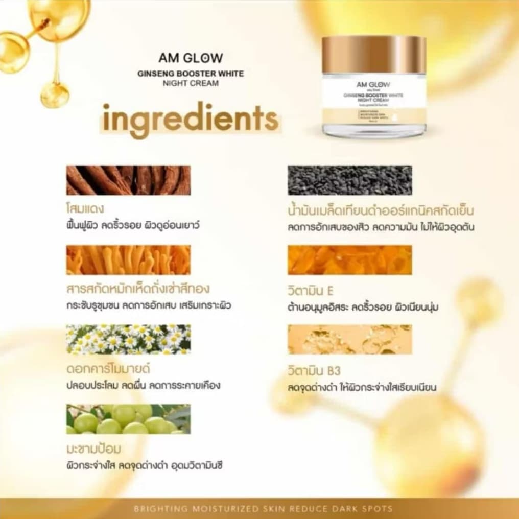 ครีมโสมถังเช่า AM GLOW Ginseng Booster White Night Cream รูปที่ 3