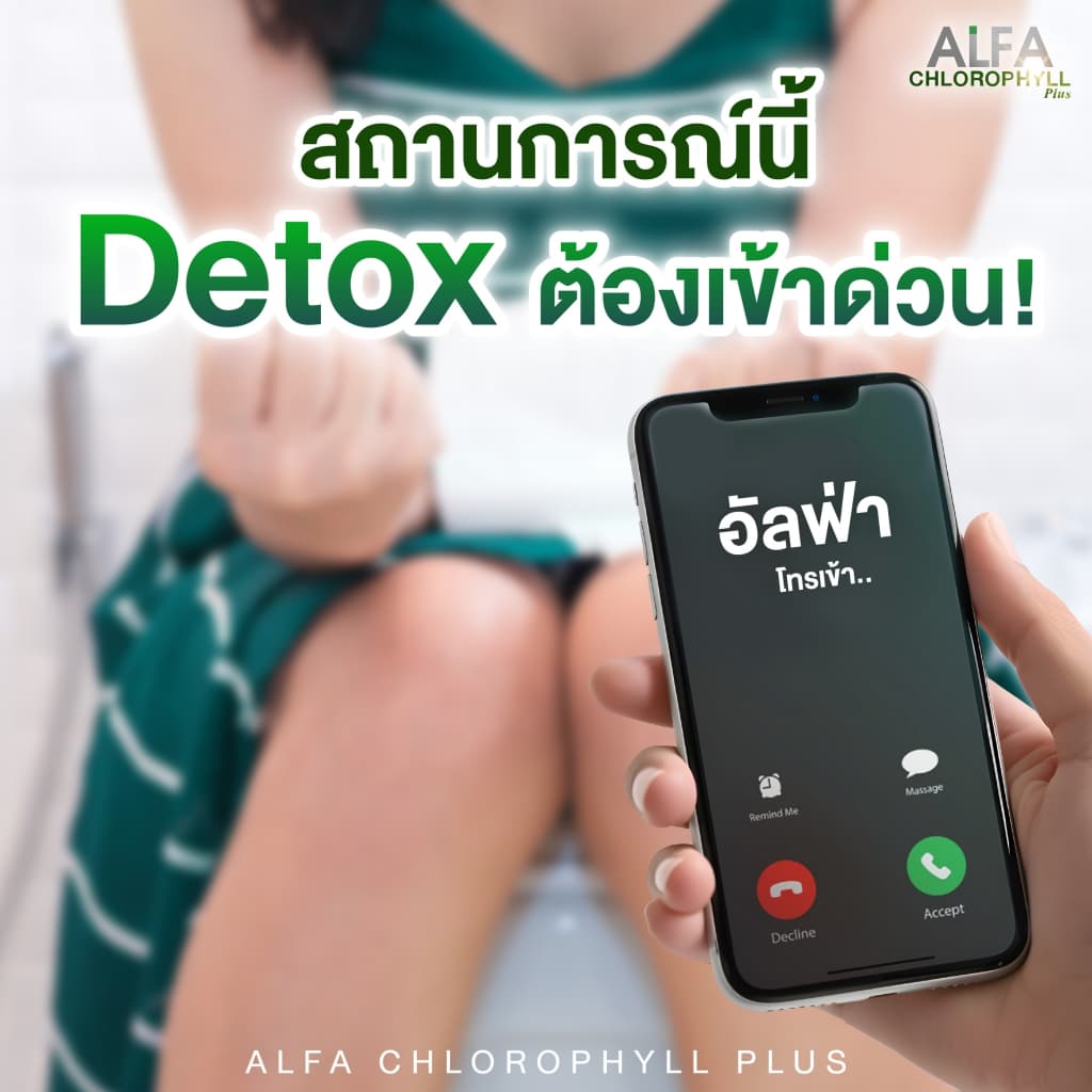 Alfa Chlorophyll X อัลฟ่า คลอโรฟิลล์ เอ็กซ์ 1 กล่อง บรรจุ 6 ซอง รูปที่ 3