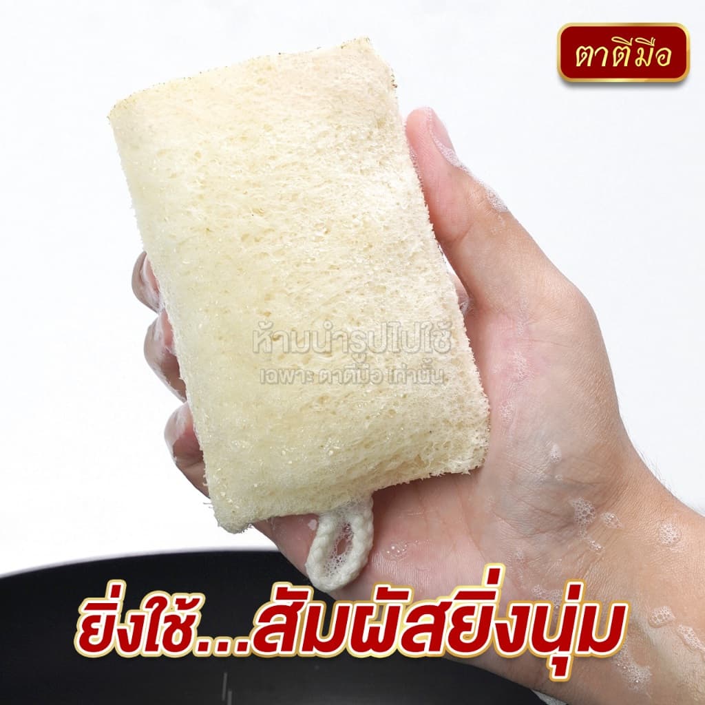 ตาตีมือ ใยบวบล้างจาน 2 หน้า ล้างกระทะ ใยบวบธรรมชาติไม่อัดแบน อ่อนโยนต่อภาชนะ รูปที่ 9