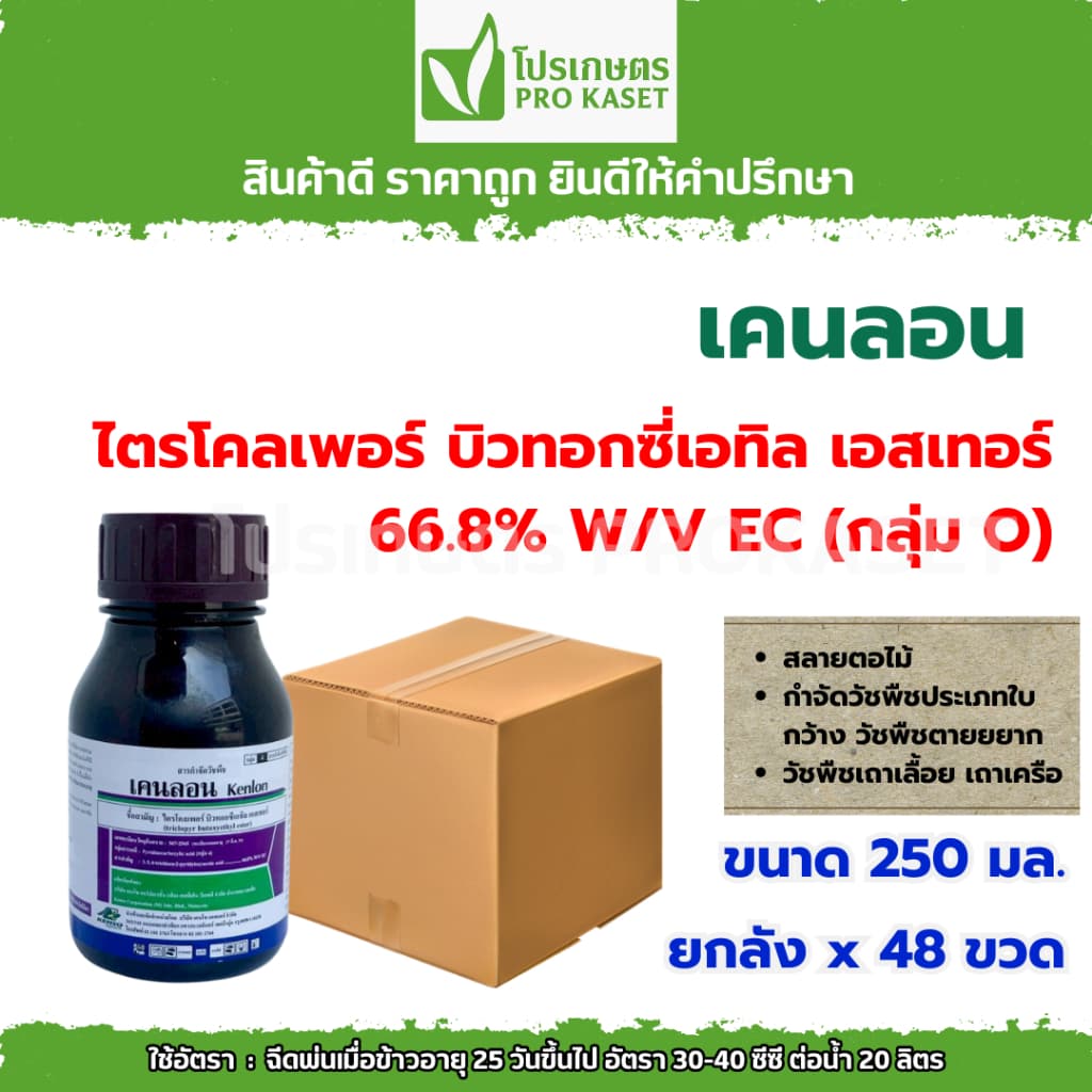 **ยกลัง 48 ขวด**เคนลอน ไตรโคลเพอร์ 250 มล. ยาฆ่าตอ กำจัดหญ้าใบกว้าง เครือเถา ไมยราบ ตายเรียบ ใช้ได้ในอ้อย ข้าว สวน รูปที่ 1