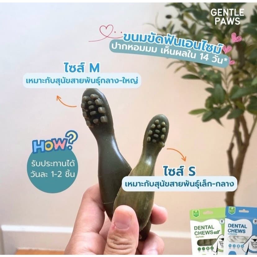 Gentle Paws ขนมขัดฟันสุนัข รสไก่และบรอคโคลี่ 100g Dental Chews Dog Treat รูปที่ 5