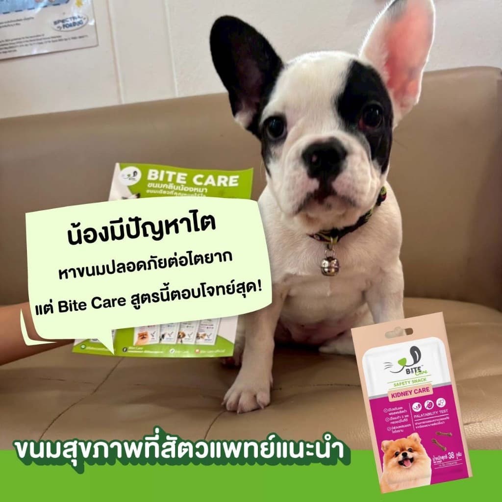 Bite Care ขนมขัดฟันสุนัขเพื่อสุขภาพ 38g เสริมกระดูกข้อ ภูมิคุ้มกัน ขนเงา Bite Care รูปที่ 3