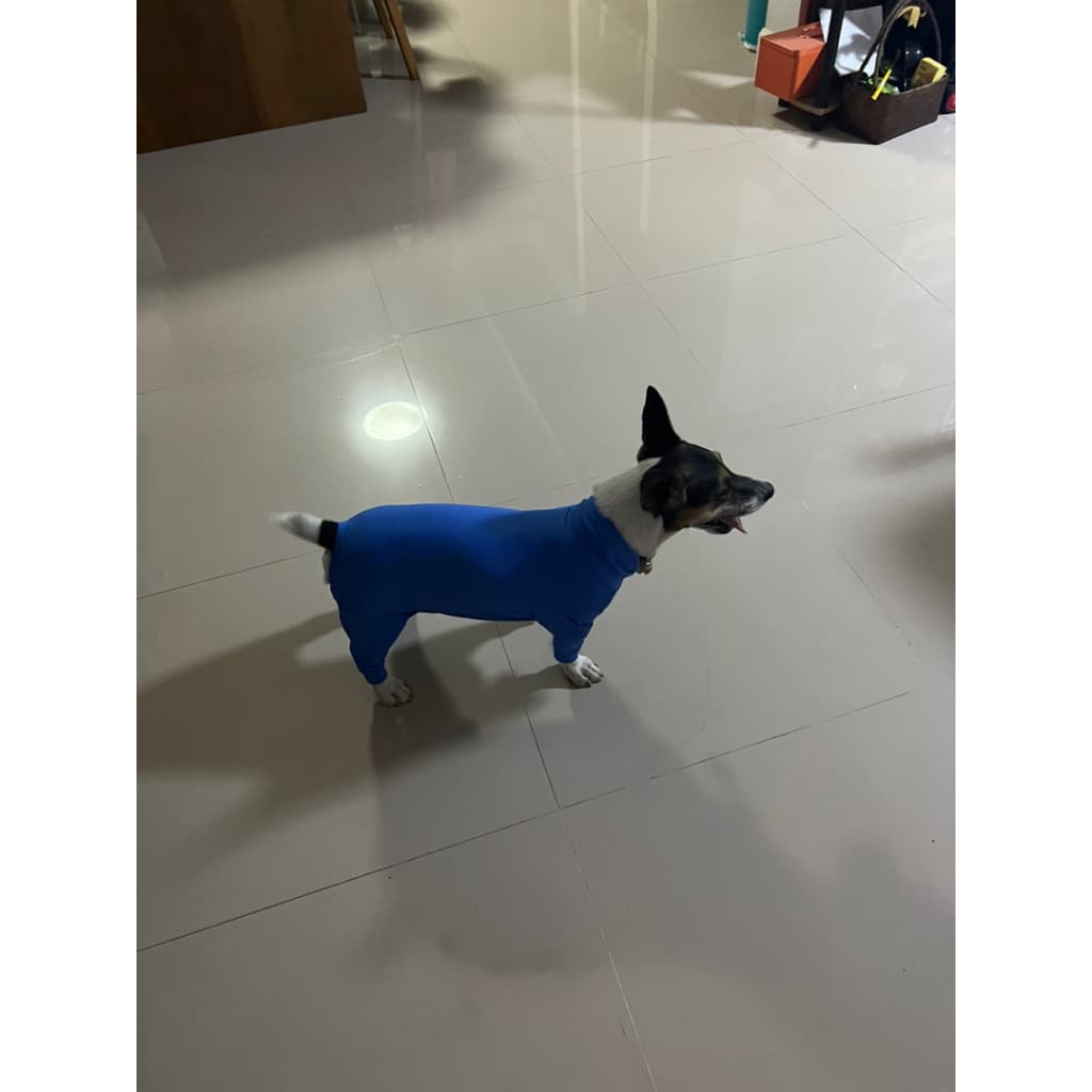 ชุดเก็บขน wonder dog เสื้อสุนัข เสื้อแมว ชุดกันขนร่วงสุนัข ชุดสัตว์เลี้ยง โทนน้ำเงิน รูปที่ 9