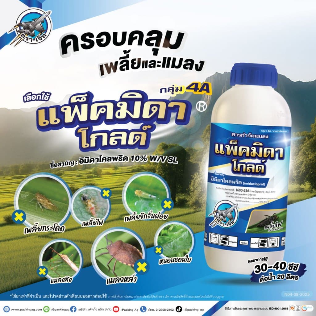 แพ็คมิดา โกลด์ 1 ลิตร‼12 ขวด‼ สูตรเย็น อิมิดาโคลพริด 10% เพลี้ยไฟ เพลี้ยกระโดด แมลงบิน หนอน เพลี้ย รูปที่ 6