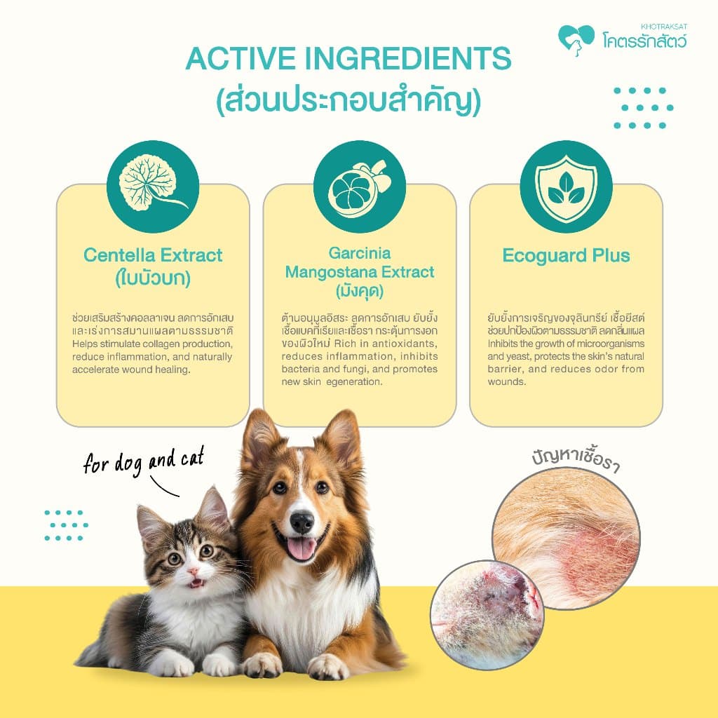 SKINLAB PLUS LOVE PET GEL เจลดูแลผิวสำหรับสุนัขและแมว สูตรอ่อนโยน 20 กรัม รูปที่ 3