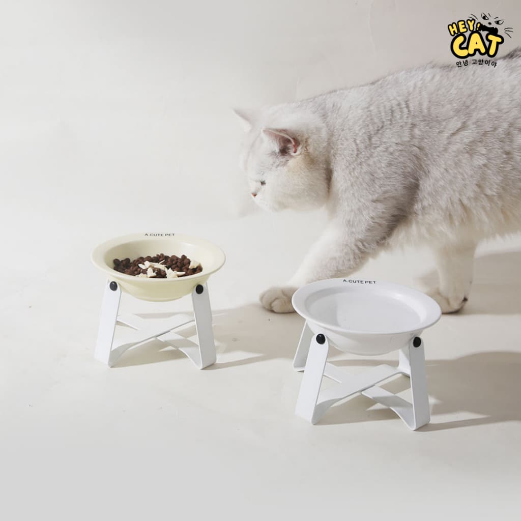 A Cute pet ชามแมวพร้อมขา ชามแมวเซรามิค ชามอาหารแมว แบรนด์เกาหลี ทำจากเซรามิคคุณภาพสูง ขนาดชาม 14 Cm. รูปที่ 2