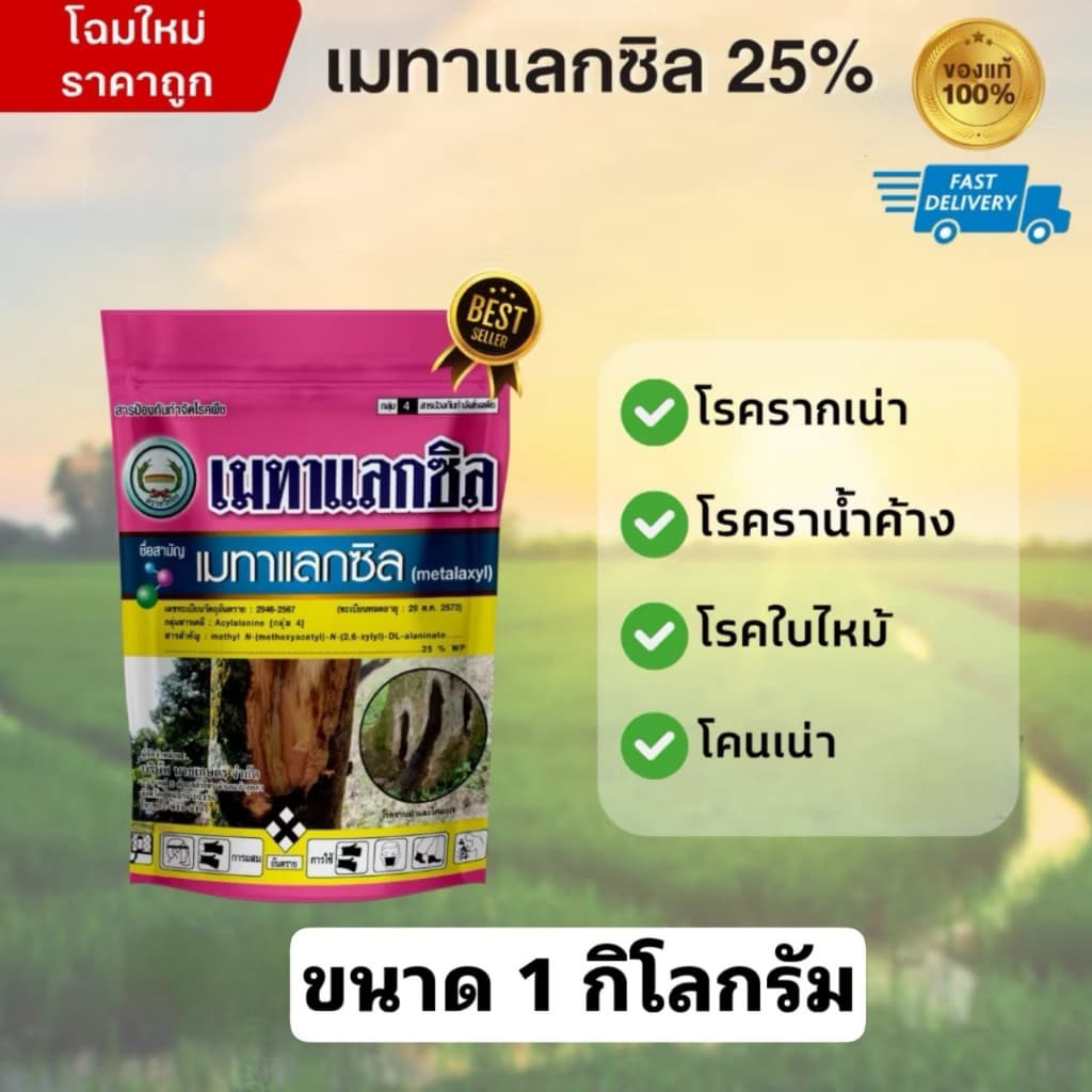 เมทาแลกซิล 25 WP สารป้องกัน กำจัดเชื้อรา โรครากเน่าโคนเน่า โรคพืชจากทางดิน ตราหวีทอง 1 กิโลกรัม รูปที่ 2