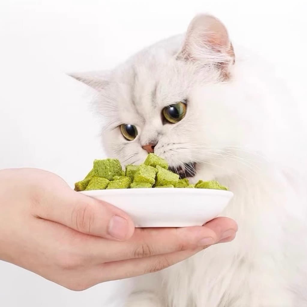 หญ้าแมวฟรีซดราย Pawtique 300กรัม ขนมแมว หญ้าแมวผสมอกไก่ Freeze Dried 100% ขนมแมว ขนมฟรีซดราย 300g รูปที่ 2