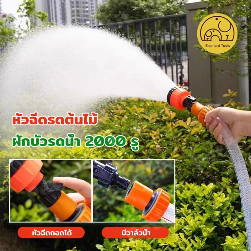 ฝักบัวรดน้ำ 1000 รู และ 2000 รู ขนาด 4หุน,5-6หุน ฝักบัวรดน้ำแคคตัส ฝักบัวรดน้ำบอนไซ ฝักบัวรดน้ำต้นไม้ รูปที่ 1