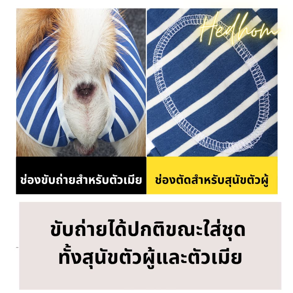 NEW‼ชุดสุนัขสำหรับใส่หลังผ้าตัด ชุดกันเลีย ชุดทำหมัน ปิดรอบท้อง สำหรับสุนัขเล็กถึงสุนัขใหญ่ ผ้ายืดหยุ่น รูปที่ 3
