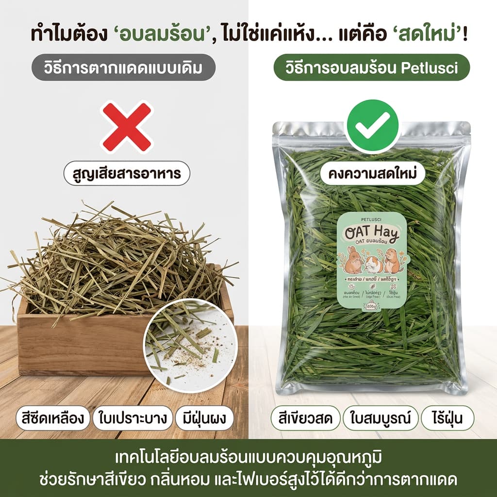หญ้าโอ้ตอบลมร้อน Oat Hay 250g คัดเกรดพรีเมี่ยม หอมเขียวนุ่มแสนอร่อยมีวิตามินเอสูง อาหารสัตว์เล็ก รูปที่ 8