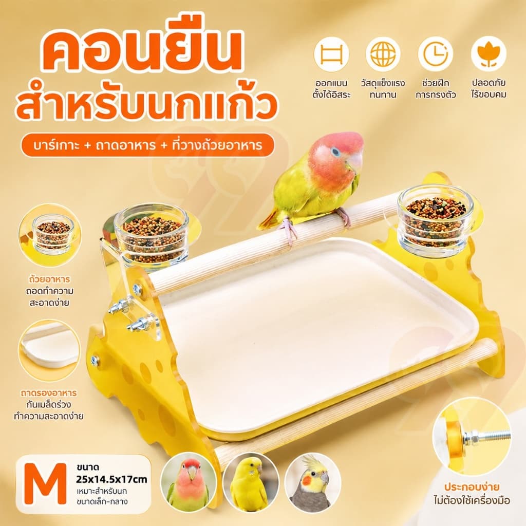 99PET คอนยืนนกแก้ว พร้อมถาดรอง + ถ้วยอาหาร ถอดล้างง่าย แข็งแรง ทนทาน สำหรับนกขนาดเล็ก-กลาง รูปที่ 1