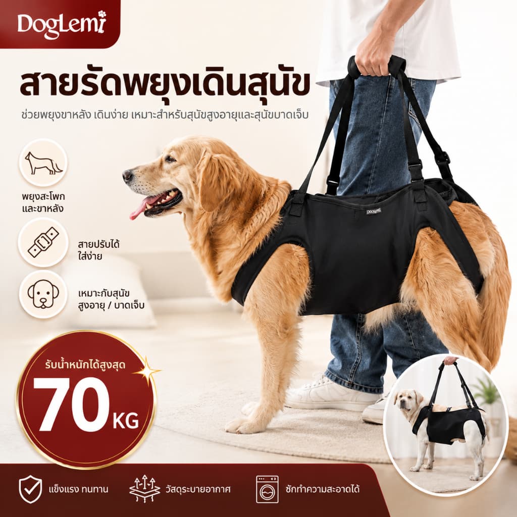 สายรัดพยุงเดินสุนัข เสื้อกั๊กช่วยเดินสุนัขสูงอายุ สำหรับสุนัขบาดเจ็บข้อสะโพกขาหลัง รูปที่ 1